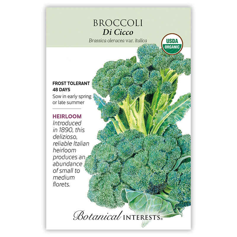 Seed packet for Di Cicco Broccoli featuring a detailed illustration of deep green, tightly clustered florets on leafy stems, with USDA Organic seal and text noting it's frost tolerant, ready in 48 days, and an Italian heirloom introduced in 1890.