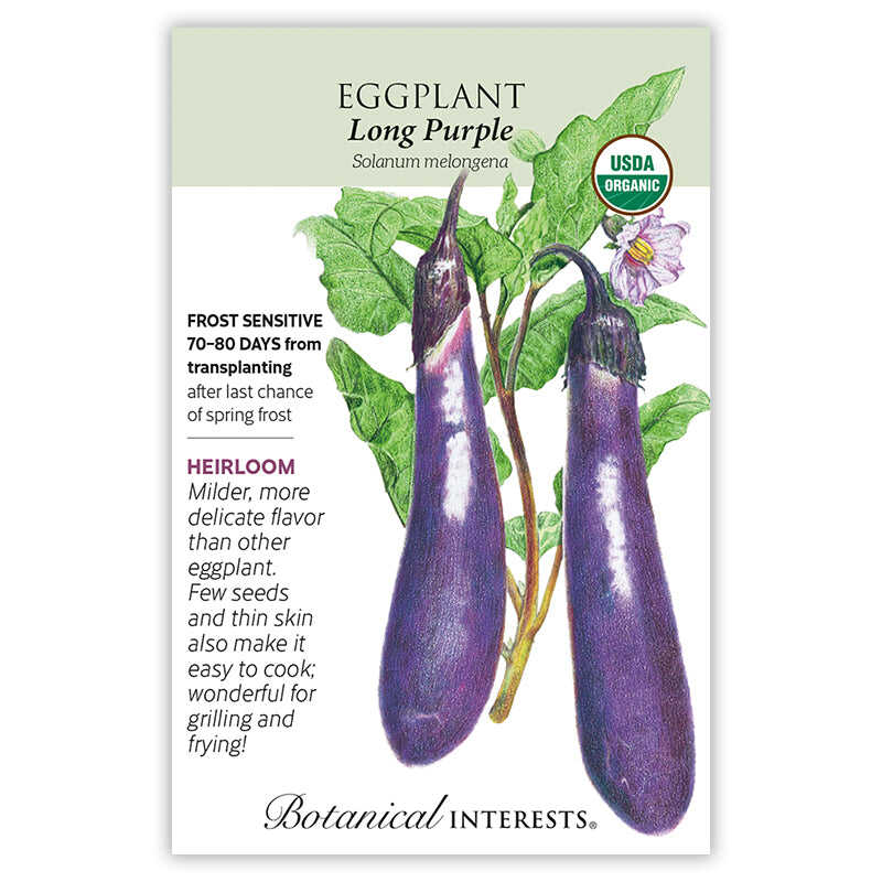 Front of an organic Botanical Interests seed packet for Long Purple Eggplant Seeds featuring a USDA Organic seal, heirloom description, and a botanical illustration of two slender purple eggplants on the vine.