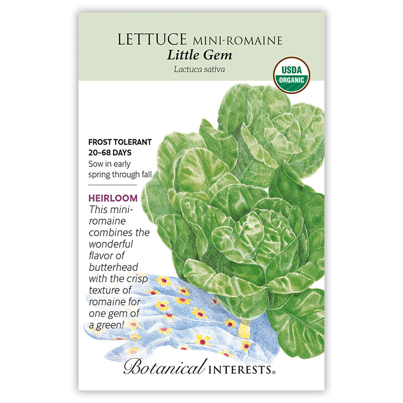 Seed packet for Botanical Interests organic heirloom Little Gem mini-romaine lettuce, illustrated with compact, tightly curled green heads resting on a floral cloth, with text noting frost tolerance, 20–68 days to maturity, and sowing from early spring through fall.