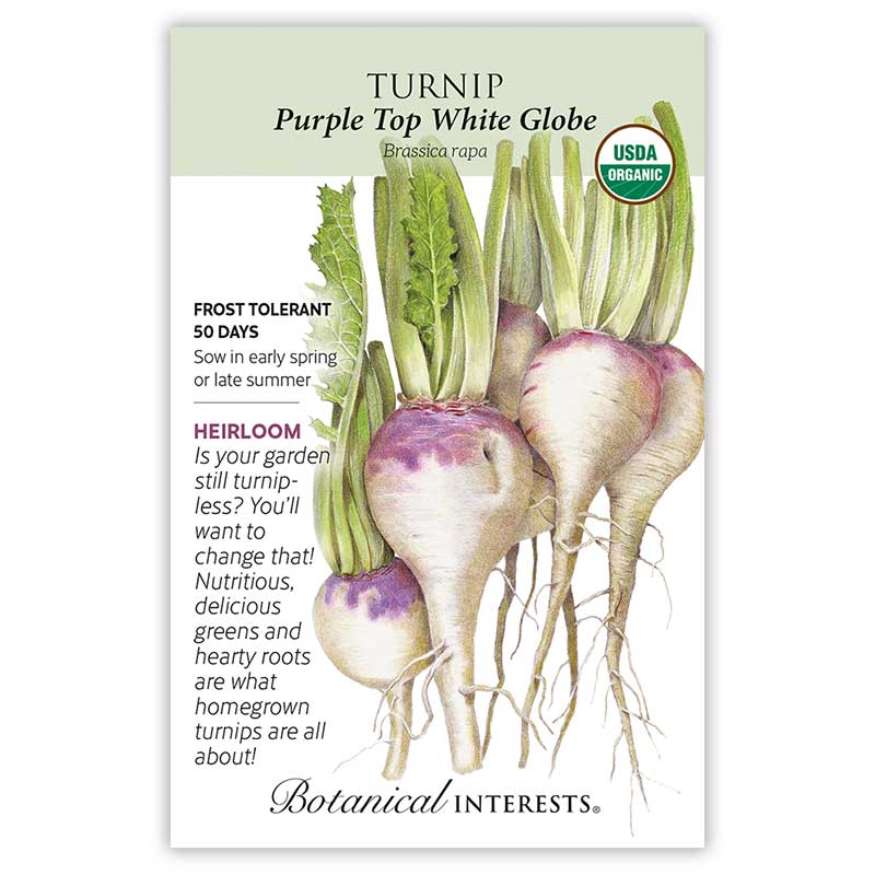 Seed packet for Botanical Interests organic Purple Top White Globe turnip, illustrated with several white bulbs topped in purple and leafy green tops, noting frost tolerant, 50 days, heirloom, with sowing and description text.