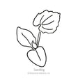 Simple black-and-white line drawing labeled "Seedling," showing a young pumpkin plant with two rounded seed leaves and one larger, toothed true leaf on thin stems.