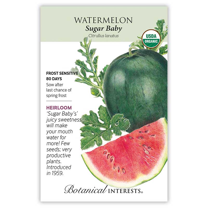 Seed packet for Sugar Baby Watermelon featuring an illustration of a whole dark green melon with a cut red-fleshed wedge, plus a USDA Organic seal and printed text noting it's an heirloom, frost sensitive, 80-day variety introduced in 1959.