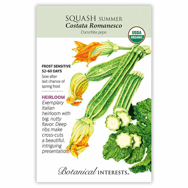 Botanical Interests USDA Organic seed packet for Costata Romanesco heirloom summer squash, illustrated with ribbed pale-green fruits, orange blossoms and cross-cut slices, and text noting frost sensitivity, 52–60 days to maturity, and its nutty flavor.
