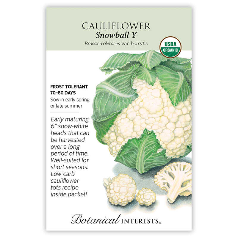 Seed packet for USDA Organic Snowball Y Cauliflower with an illustration of leafy green wrapper leaves around a snow-white curd and cut florets, with text noting frost tolerance, 70–80 days to maturity, and sowing instructions for early spring or late summer.