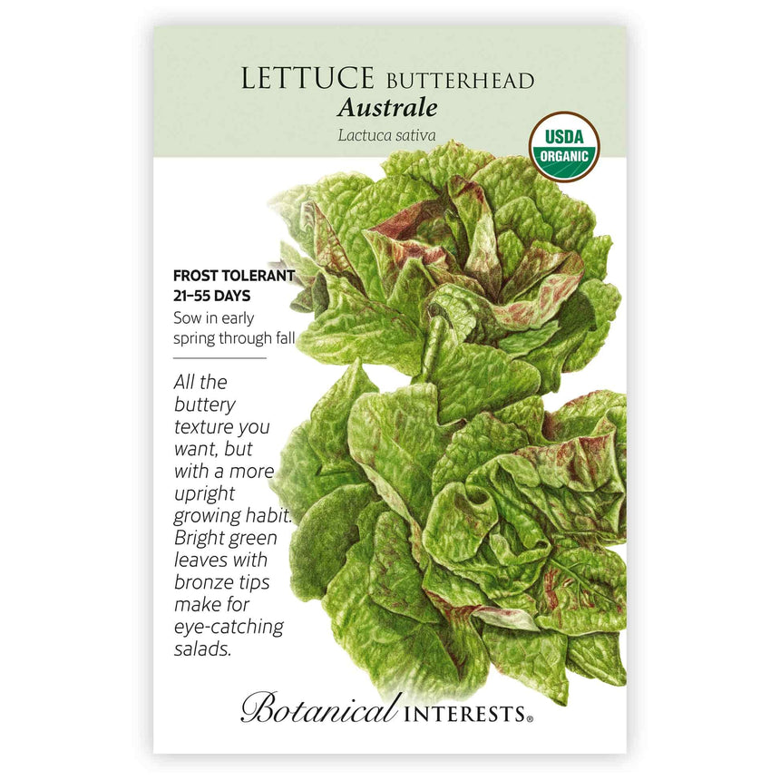 Front of a Botanical Interests "Lettuce Butterhead Australe" USDA Organic seed packet displaying a botanical illustration of bright green lettuce leaves with bronze tips on a white background.