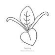 Black line drawing of a Space Spinach seedling in a white background