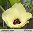 Close-up photo of a pale yellow okra flower with a deep maroon center, surrounded by green foliage, labeled "Okra Clemson Spineless," "Photo by Wendy Simmons," and "Botanical Interests"