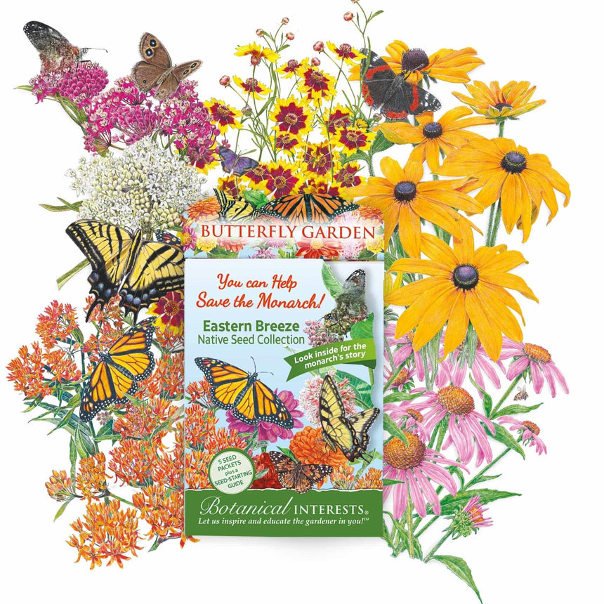 Botanical Interests "Eastern Breeze" Butterfly Garden native seed collection packet, surrounded by illustrated milkweed, coreopsis, black-eyed Susan and coneflower blooms with monarch, swallowtail and other butterflies, packet text noting five seed packets, a seed-starting guide, and the monarch's story inside.