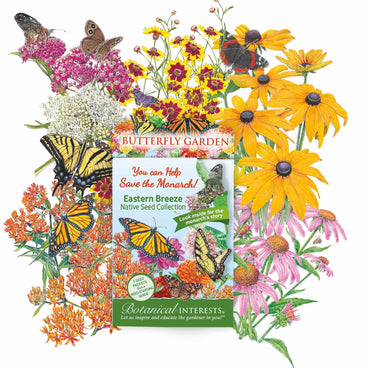 Botanical Interests "Eastern Breeze" Butterfly Garden native seed collection packet, surrounded by illustrated milkweed, coreopsis, black-eyed Susan and coneflower blooms with monarch, swallowtail and other butterflies, packet text noting five seed packets, a seed-starting guide, and the monarch's story inside.