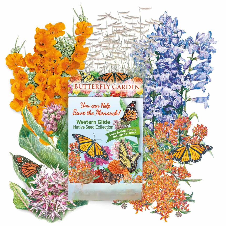 Western Glide Native Seed Collection packet for a "Butterfly Garden," surrounded by illustrated orange butterfly weed, pink milkweed, purple penstemon, ornamental grass and monarch butterflies, with packet text promoting help for monarchs and native seeds.