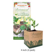 Square 4-inch brown recycled paper seedling pot labeled 4-inch 4 pack next to Botanical Interests product packaging against a white background