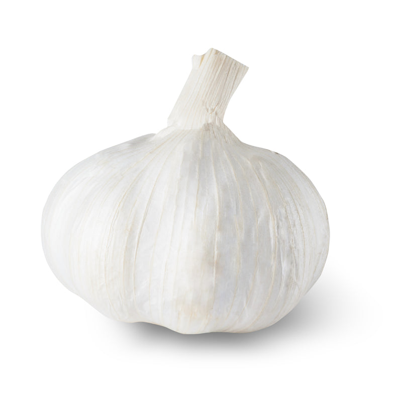 Whole garlic bulb with papery white skin and a dried, trimmed neck, shown against a plain white background.