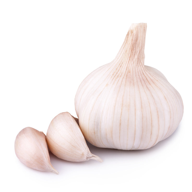 Whole papery-skinned garlic bulb with two loose cloves beside it, showing the pinkish-tan striped wrapper, against a plain white background.