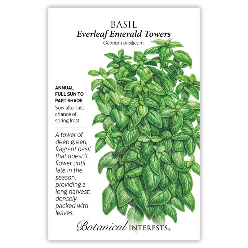 Basil seed packet showing botanical information and the plant itself on a white background