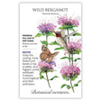 Front of a Botanical Interests seed packet for Wild Bergamot Seeds featuring plant details and a botanical illustration of pinkish-lavender flowers with a hummingbird and butterfly.