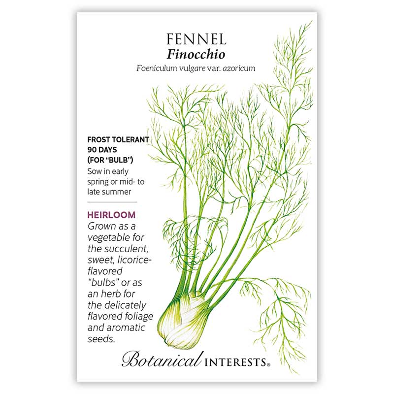 Botanical Interests seed packet for Finocchio Fennel featuring an illustration of the plant's feathery green fronds atop a swollen white bulb, with text noting it's frost tolerant, heirloom, ready in 90 days, and grown for its licorice-flavored bulb, foliage, and seeds.