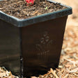 Black square Epic 5-inch cube pot embossed with a floral logo and "American Tray Co." branding on the rim, filled with dark soil and a small emerging red shoot, set on a bed of wood mulch.