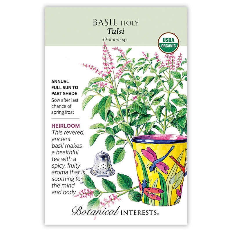 Botanical Interests seed packet for Tulsi Holy Basil, USDA Organic, illustrated with pink-flowered basil sprigs, a yellow dragonfly-patterned pot, and a tea infuser, with text noting it's an heirloom annual for full sun to part shade, sown after last frost.