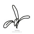 Simple black-and-white line drawing of a young seedling with three narrow, elongated leaves emerging from a split seed casing, labeled "Seedling" beneath it.