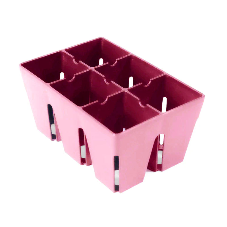 Pink plastic six-cell seed starting tray with tapered square compartments and small white root-pruning ridges inside each cell, shown against a plain white background.