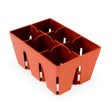 Terracotta-coloured plastic seed starting tray with six deep, square cells divided by slotted partitions, each cell fitted with a small white ejector pin for easy seedling removal.