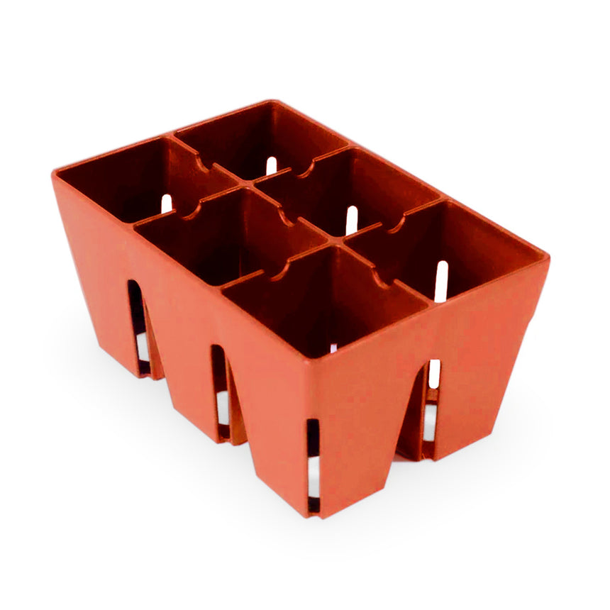 Terracotta-coloured plastic seed starting tray with six deep, square cells divided by slotted partitions, each cell fitted with a small white ejector pin for easy seedling removal.