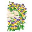 Illustration of Johnny-Jump-Up violas with purple and yellow bicolor blooms and green leaves spilling over a flagstone wall with moss between the stones.