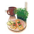 Illustration of a small pot of leafy upland cress microgreens beside a brown mug and a floral plate holding two crackers topped with cream cheese, cherry tomato, and microgreens, with sliced cucumber on the side.