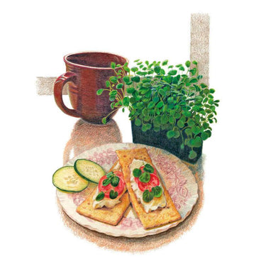 Illustration of a small pot of leafy upland cress microgreens beside a brown mug and a floral plate holding two crackers topped with cream cheese, cherry tomato, and microgreens, with sliced cucumber on the side.