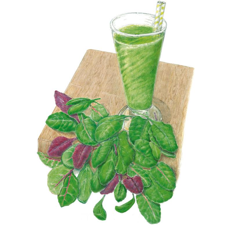 Illustration of a bundle of baby greens with glossy green and deep purple leaves piled beside a tall glass of green smoothie with a striped straw, resting on a wooden board.