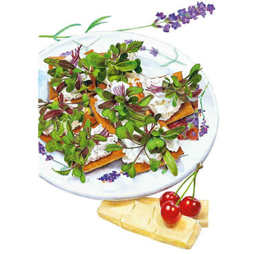 Illustration of mild mix microgreens with rounded green leaves and small caper-like buds, layered over crackers spread with soft cheese on a lavender-patterned plate, accompanied by fresh cherries and cheese slices in the foreground.