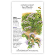 Front of a Botanical Interests seed packet for Lacy Phacelia Cover Crop, featuring a botanical illustration and information of purple flowering plants and a bee.