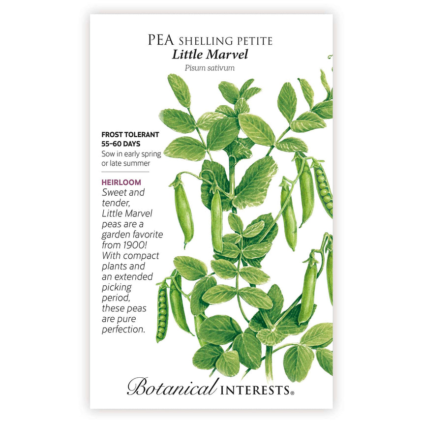 Seeds packet for Pea shelling Petite Little Marvel with botanical illustration and information.
