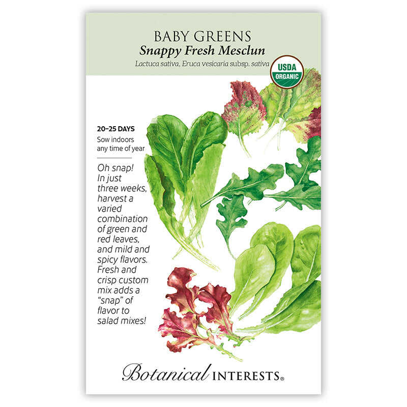 Seed packet for Botanical Interests Snappy Fresh Mesclun Baby Greens, illustrated with watercolor lettuce and arugula leaves in shades of green and red, noting USDA Organic certification, a 20–25 day harvest time, and descriptive text about the mild-to-spicy salad mix.