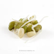 A cluster of sprouted mung beans with pale, curling white roots emerging from plump green and cream-colored seed hulls, photographed against a plain white background.