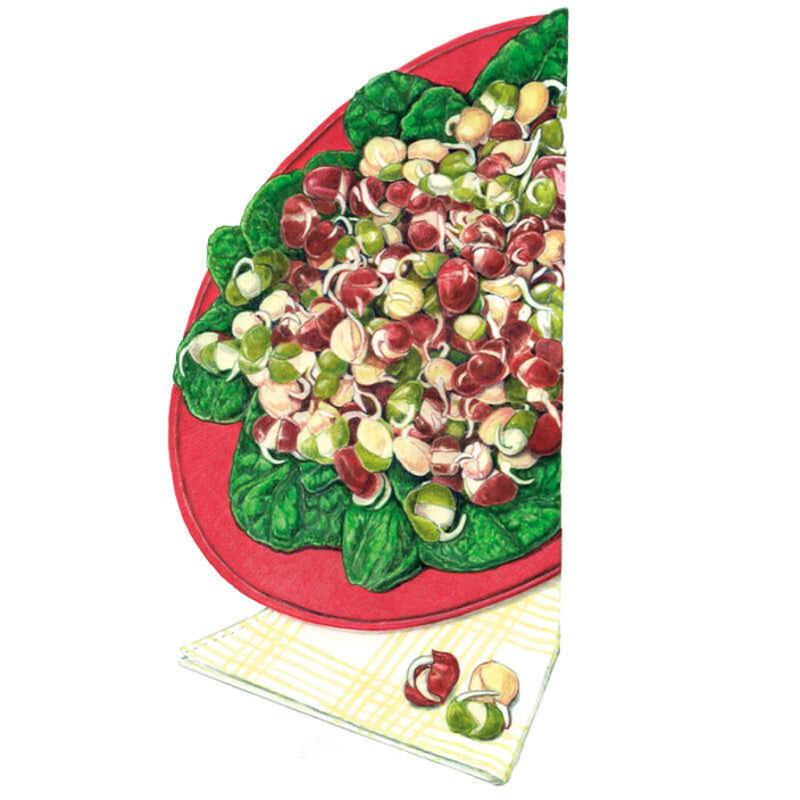 Illustration of a red plate piled with mixed bean sprouts in maroon, green and pale cream hues atop lettuce leaves, set on a yellow-checked napkin with a few loose sprouts beside it.