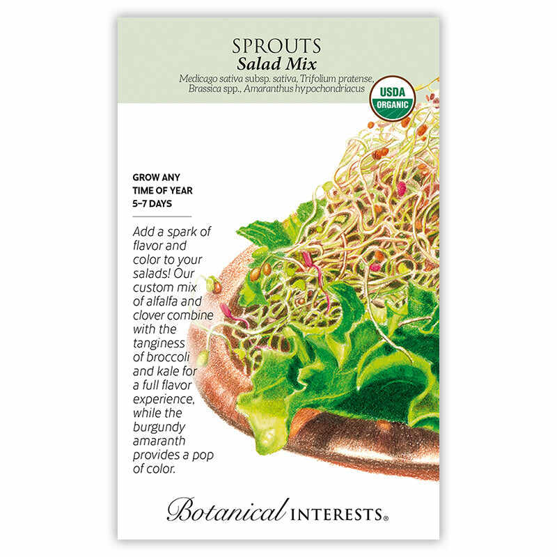 Seed packet for USDA Organic Salad Mix Sprouts, illustrated with tangled pale sprout tendrils topped with green kale and broccoli leaves and burgundy amaranth over a wooden bowl, with text noting a 5–7 day growing time and describing the alfalfa, clover, broccoli, kale and amaranth blend.
