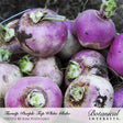 Freshly harvested Purple Top White Globe turnips piled together, showing their round roots with vivid purple-to-white skin, trimmed green stems, and clinging soil.