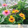 A lush garden patch with blooming pink, yellow, and orange Thumbelina zinnias surrounded by green foliage, labeled with the Botanical Interests logo for Thumbelina Zinnia Seeds.