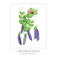 Botanical Art Prints