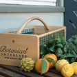 Wooden harvest basket labeled 'Botanical Interests HIGH-QUALITY SEED' filled with fresh lemons, oranges, and leafy green kale on a wooden deck table