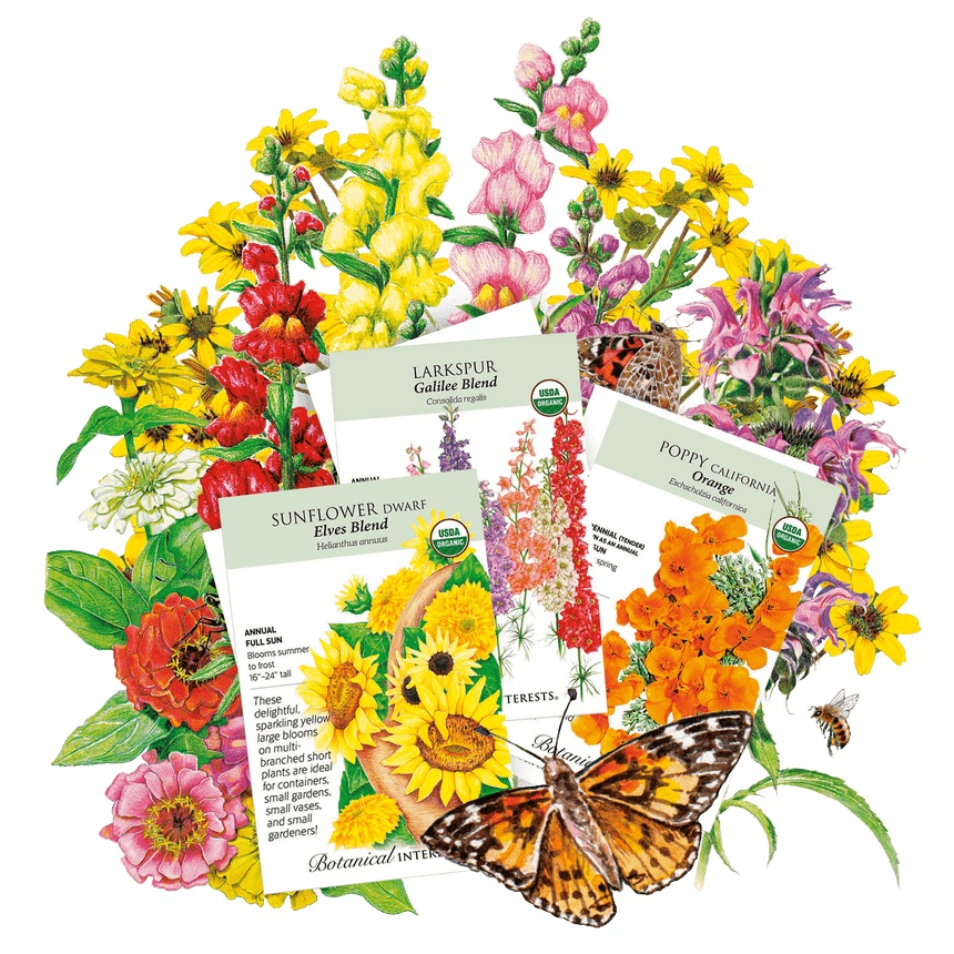 Spring Flower Bundle