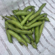A pile of freshly picked fava bean pods, plump and pale green with dark stem ends, heaped on a woven white ground sheet.