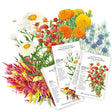@bloomingjoyflowerco Dried Flower Bundle