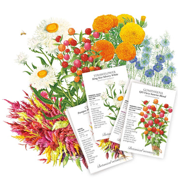 @bloomingjoyflowerco Dried Flower Bundle