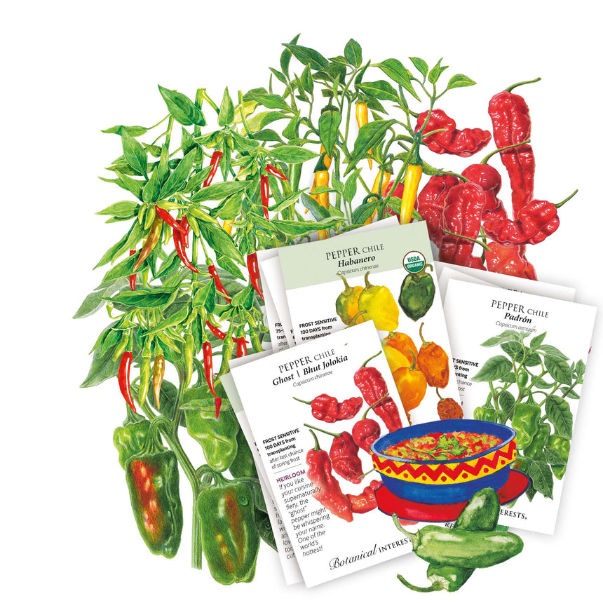 Illustrated seed packet cards for pepper plants with red, yellow, and green peppers, shown with several seed packets on a white background.