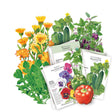 Container Collection seed bundle showing overlapping illustrated packets for bean, pansy, and cucumber varieties, fanned in front of botanical artwork of marigolds, cucumbers, eggplant, and bell peppers.