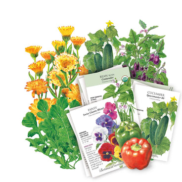 Container Collection seed bundle showing overlapping illustrated packets for bean, pansy, and cucumber varieties, fanned in front of botanical artwork of marigolds, cucumbers, eggplant, and bell peppers.