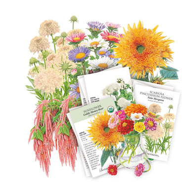 Cut flower garden seed bundle showing illustrated blooms including double sunflowers, scabiosa pincushion flowers, asters and trailing amaranthus arranged above three seed packets labelled Sunflower Goldy Honey Bear, an unnamed white-flowered variety, and Scabiosa Pincushion Flower Fata Morgana, each printed with growing details like sun needs and bloom season.