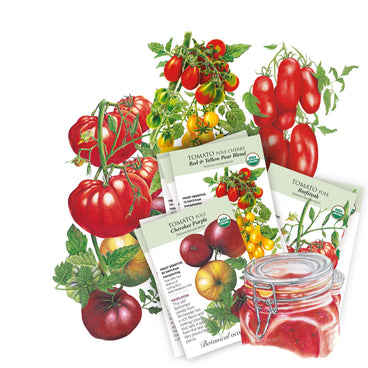 Three overlapping seed packets for Cherokee Purple, Red & Yellow Pear Blend, and Beefsteak pole tomatoes, each labelled USDA organic with days-to-maturity details, set against botanical illustrations of ribbed heirloom tomatoes, cherry clusters, and Roma-type fruit.